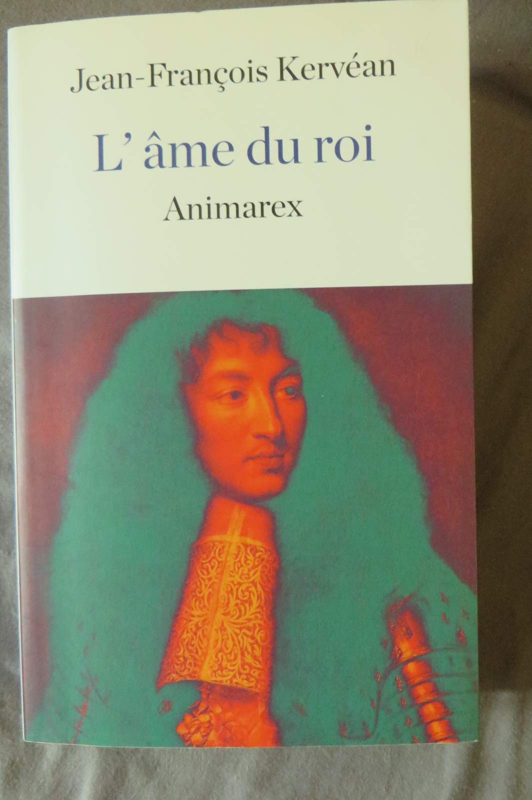 L'âme du roi 9782298114904