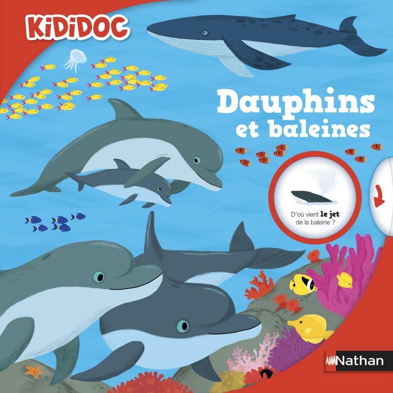 Dauphins et baleines - Livre animé Kididoc - Dès 5 ans (41) 9782092553893