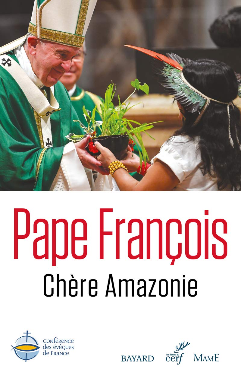 Chère Amazonie 9782204138383