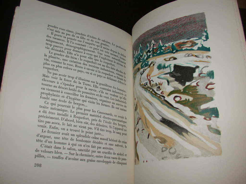 Ocres et peintures décoratives de Provence 9782744901904