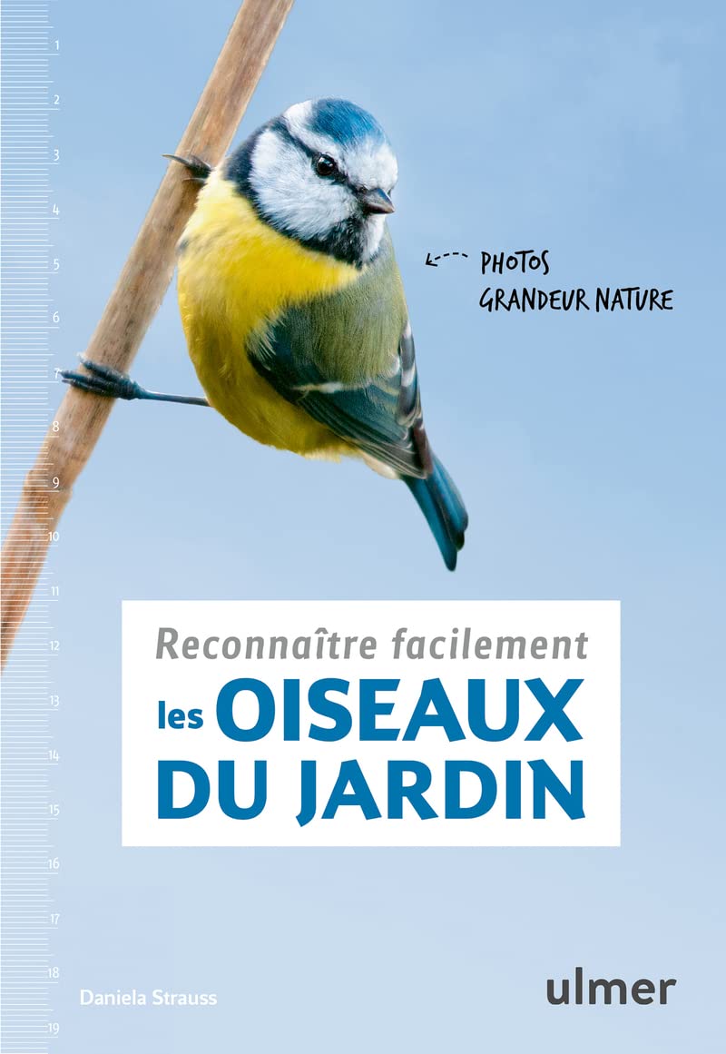 Reconnaître facilement les oiseaux du jardin - Photos grandeur nature 9782841389483