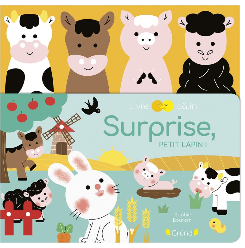 Livre câlin – Surprise, petit lapin ! – Livre avec des marionnettes à doigts en feutrine à animer à chaque page – À partir d'un an 9782324036903