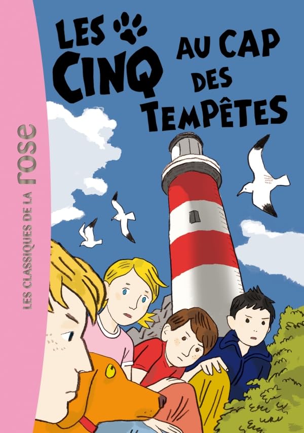 Les Cinq 23 - Les Cinq au cap des tempêtes 9782012024090