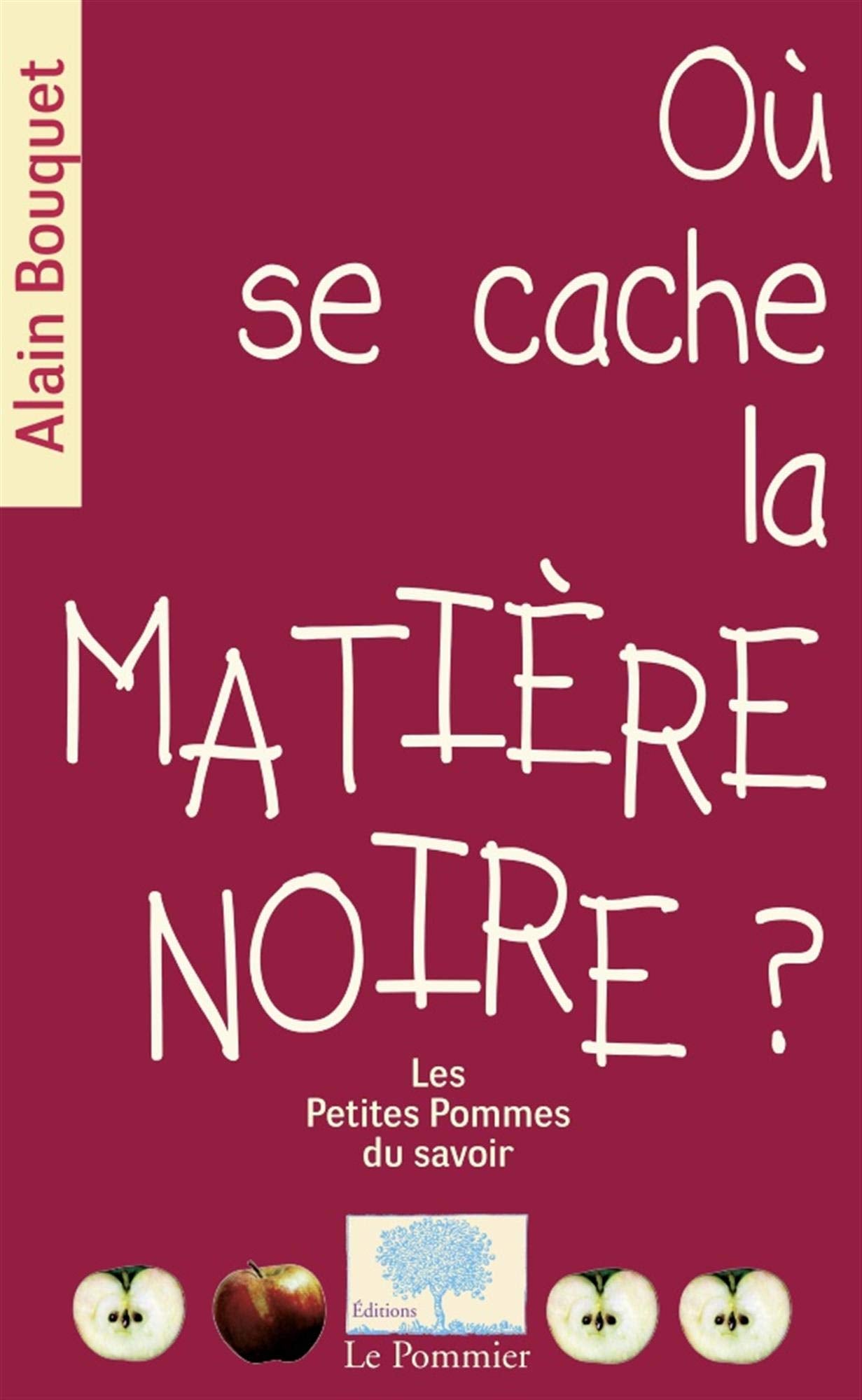 Où se cache la matière noire ? 9782746504806