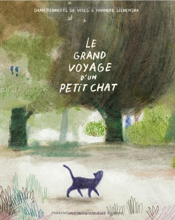 Le grand voyage d'un petit chat 9782075231527