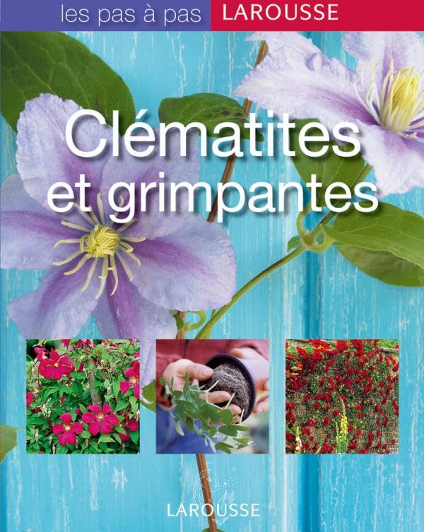 Clématites et grimpantes 9782035822819