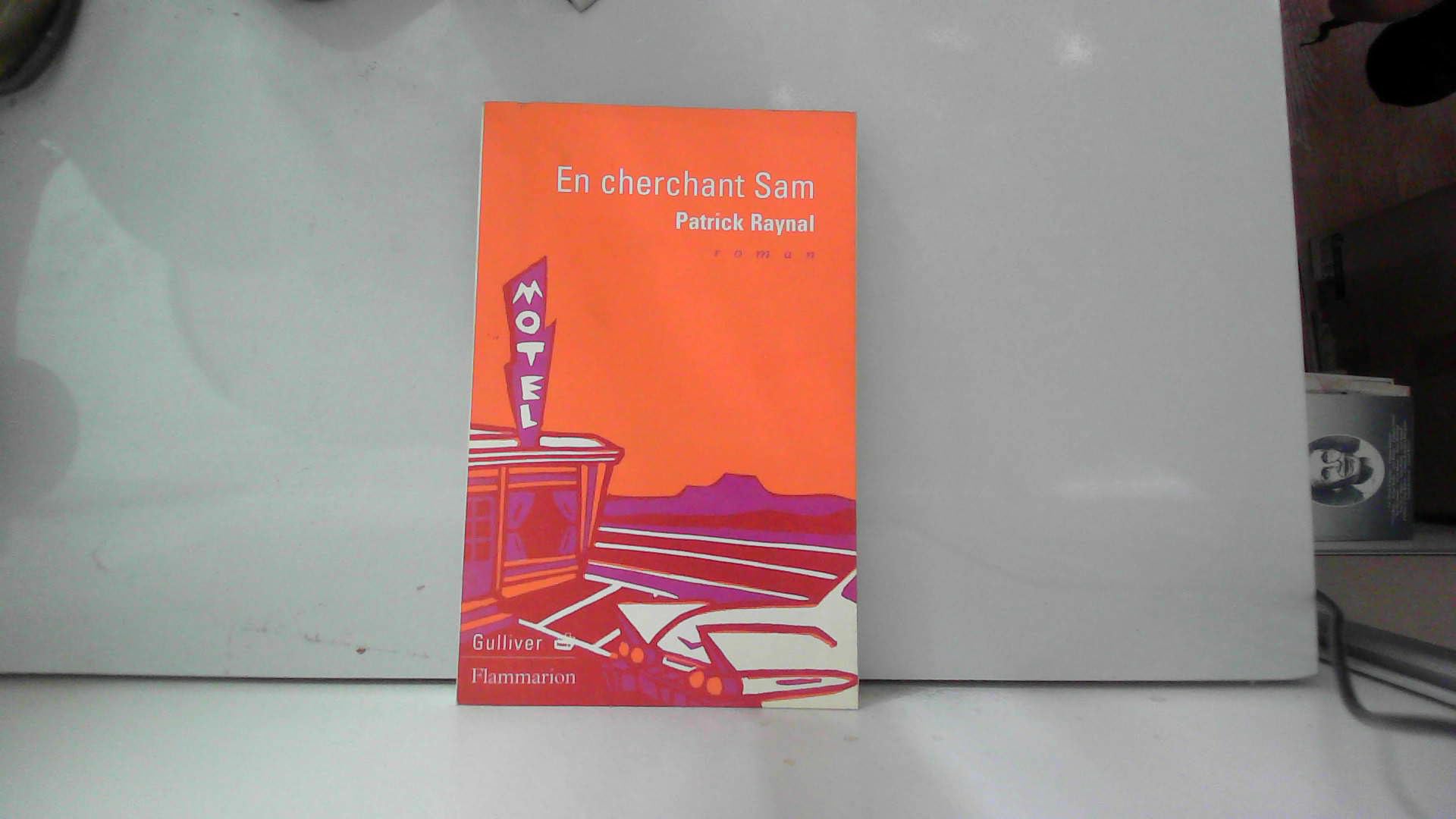 En cherchant Sam 9782080675125