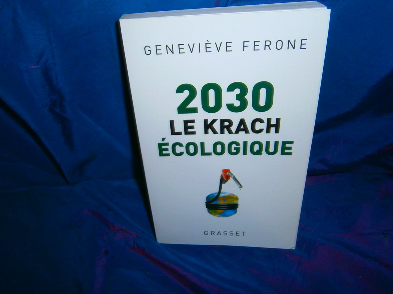 2030 le krach écologique 9782246720614