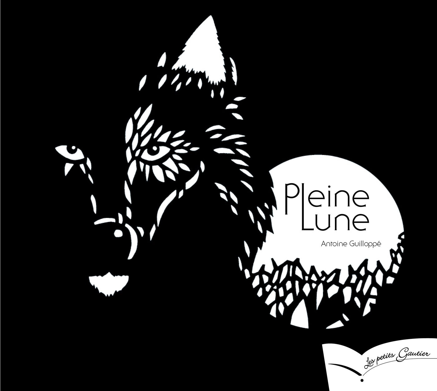 Pleine lune 9782013941389