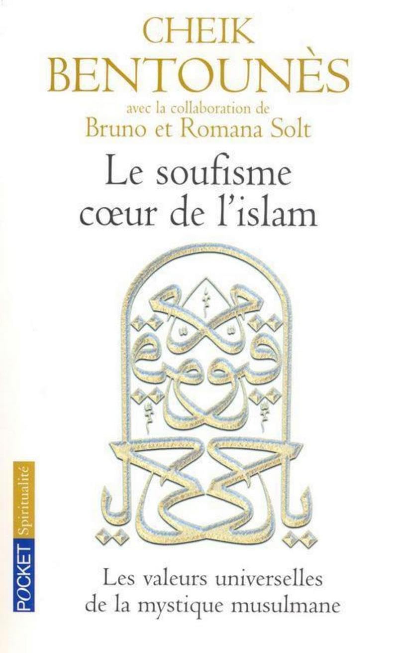 Le Soufisme, coeur de l'Islam : Les Valeurs universelles de la mystique islamiste 9782266093101