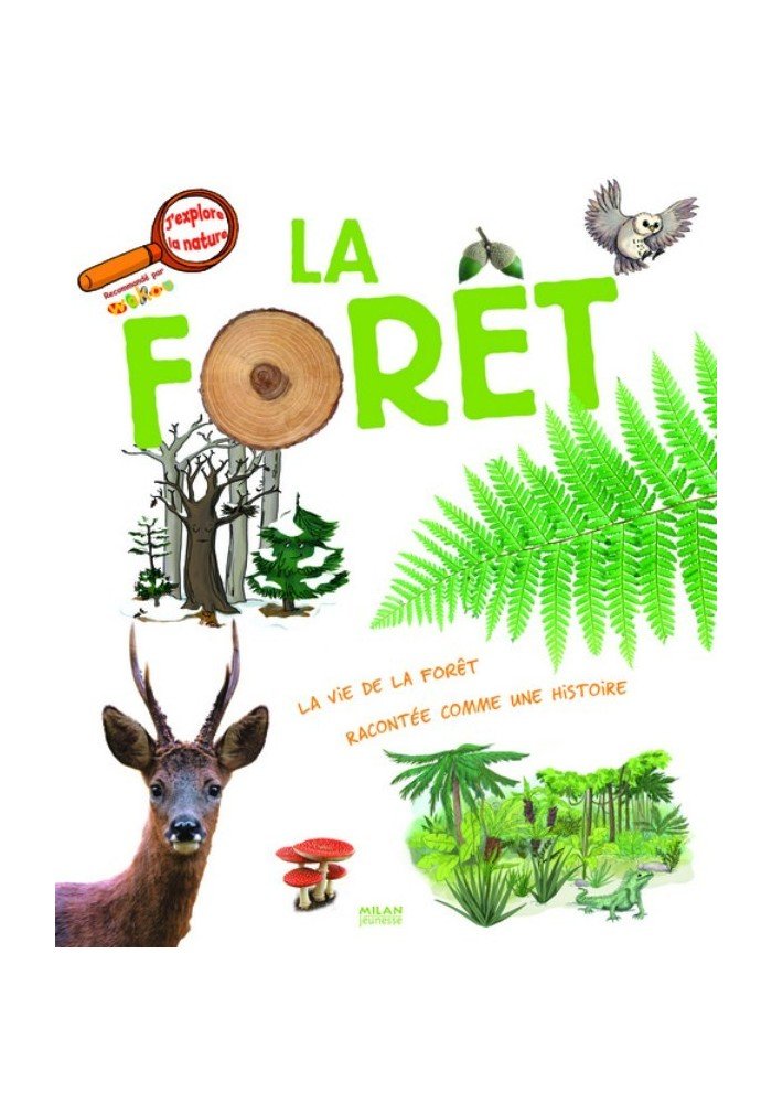 La forêt 9782745930217