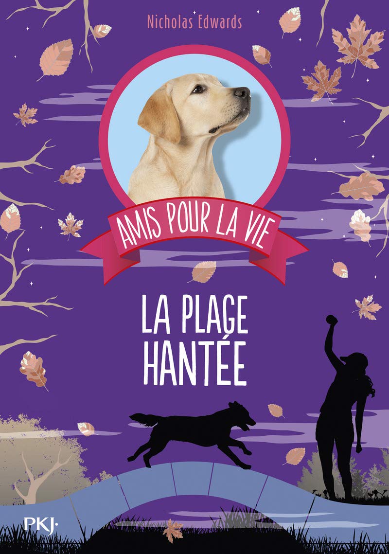 Amis pour la vie - tome 03 : La plage hantée 9782266230704