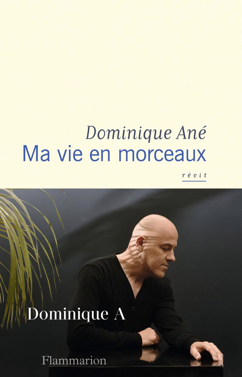 Ma vie en morceaux 9782081446175