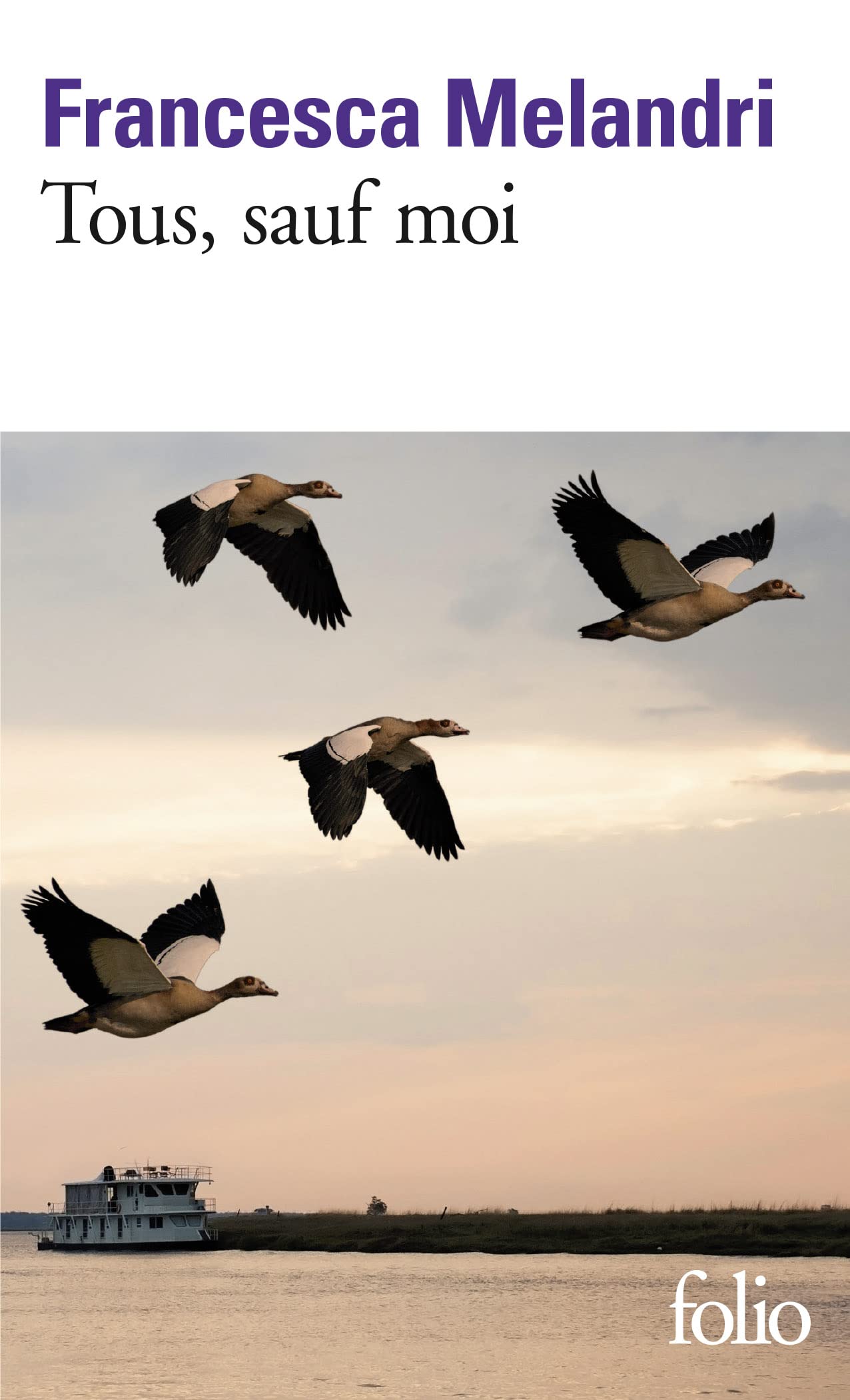 Tous, sauf moi 9782072882111