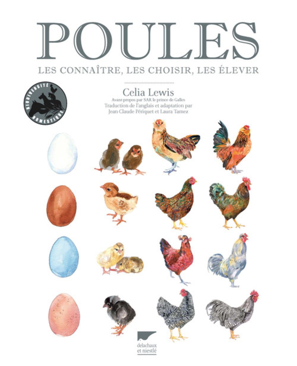 Poules: Les connaître, les choisir, les élever 9782603017265