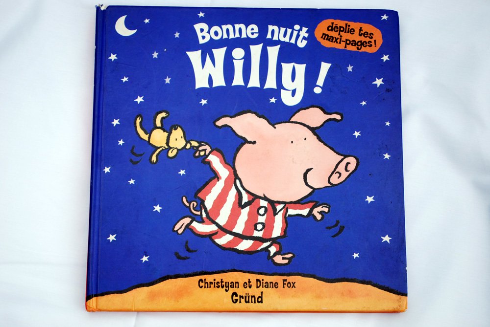 Bonne nuit Willy ! 9782700048285