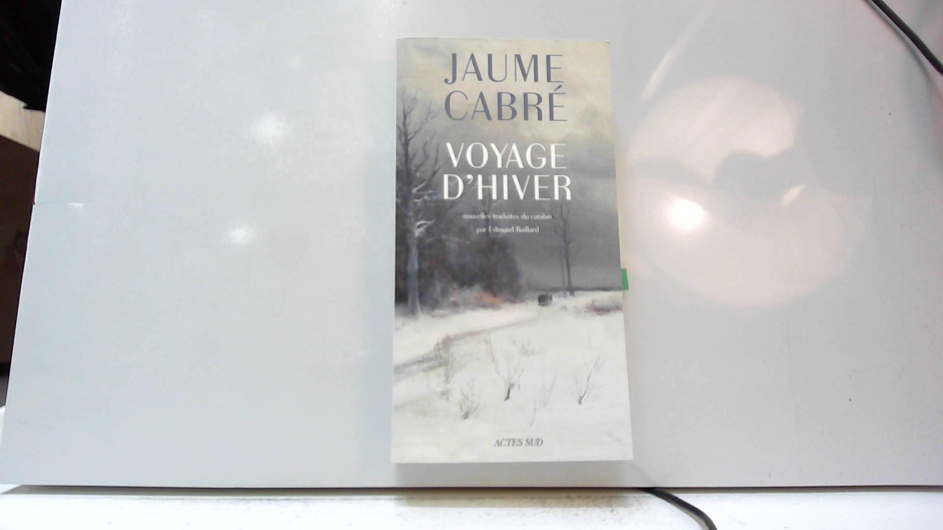 Voyage d'hiver 9782330073176