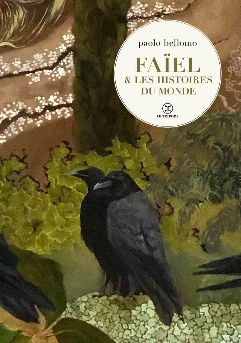 Faïel et les histoires du monde 9782370554277