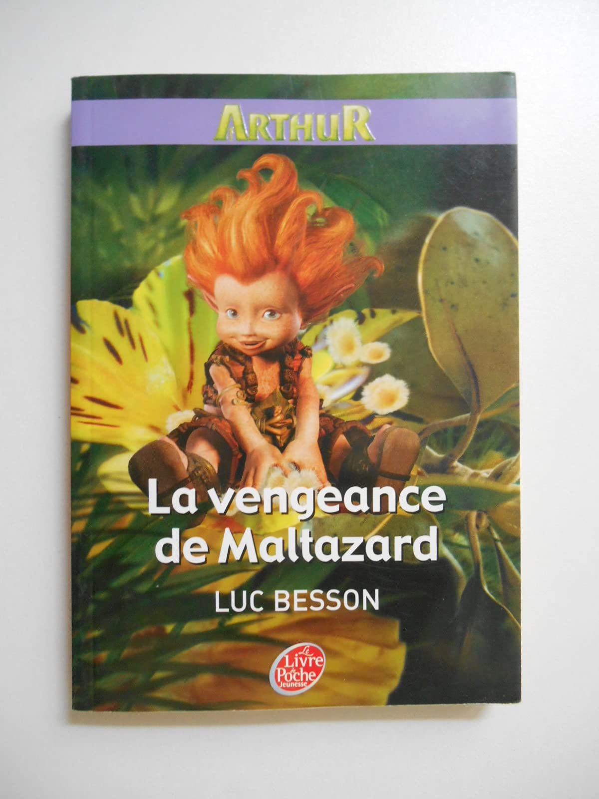 Arthur et les Minimoys - Tome 3 - La vengeance de Maltazard 9782013228343