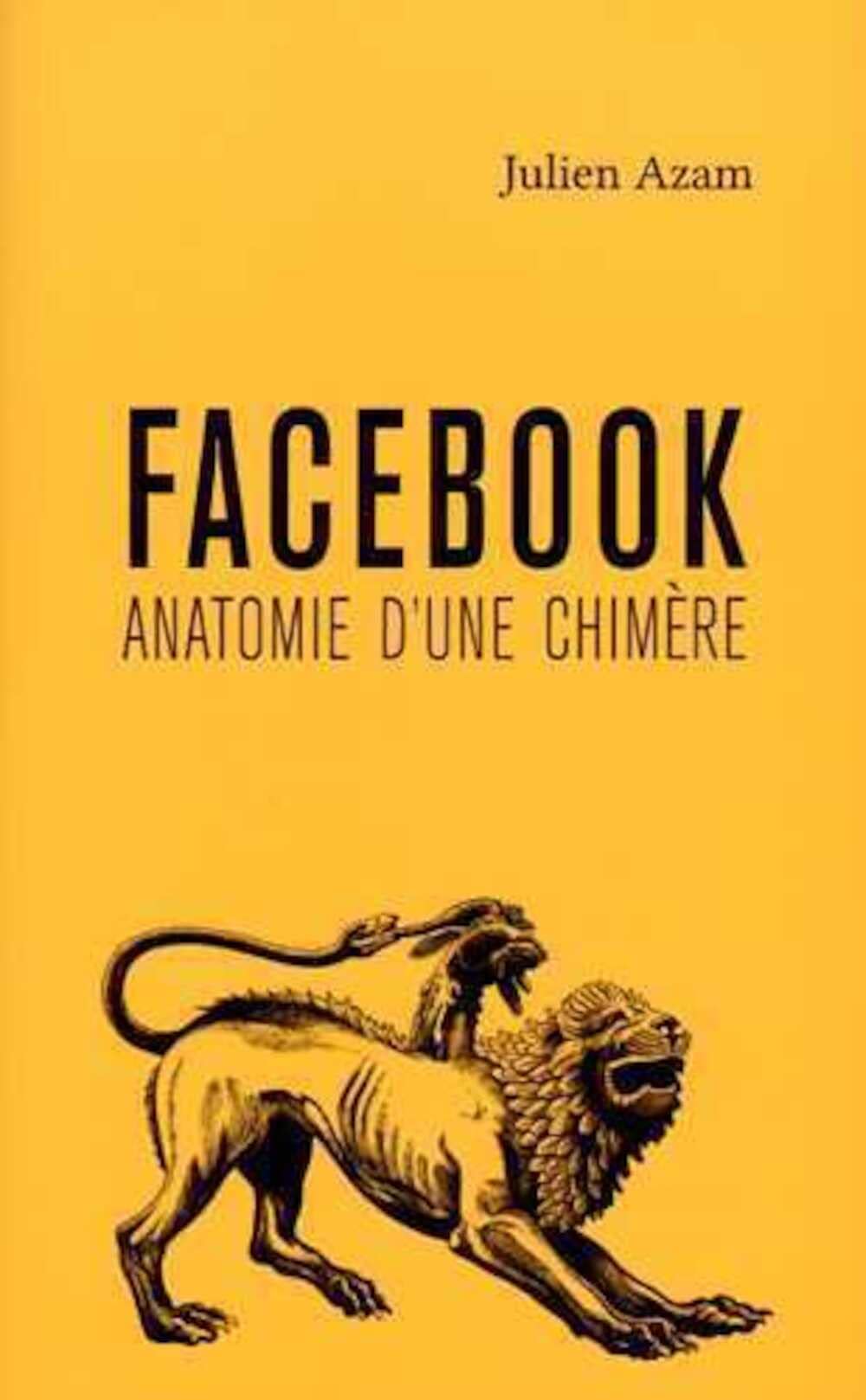 Facebook, anatomie d´une chimère 9791090507074