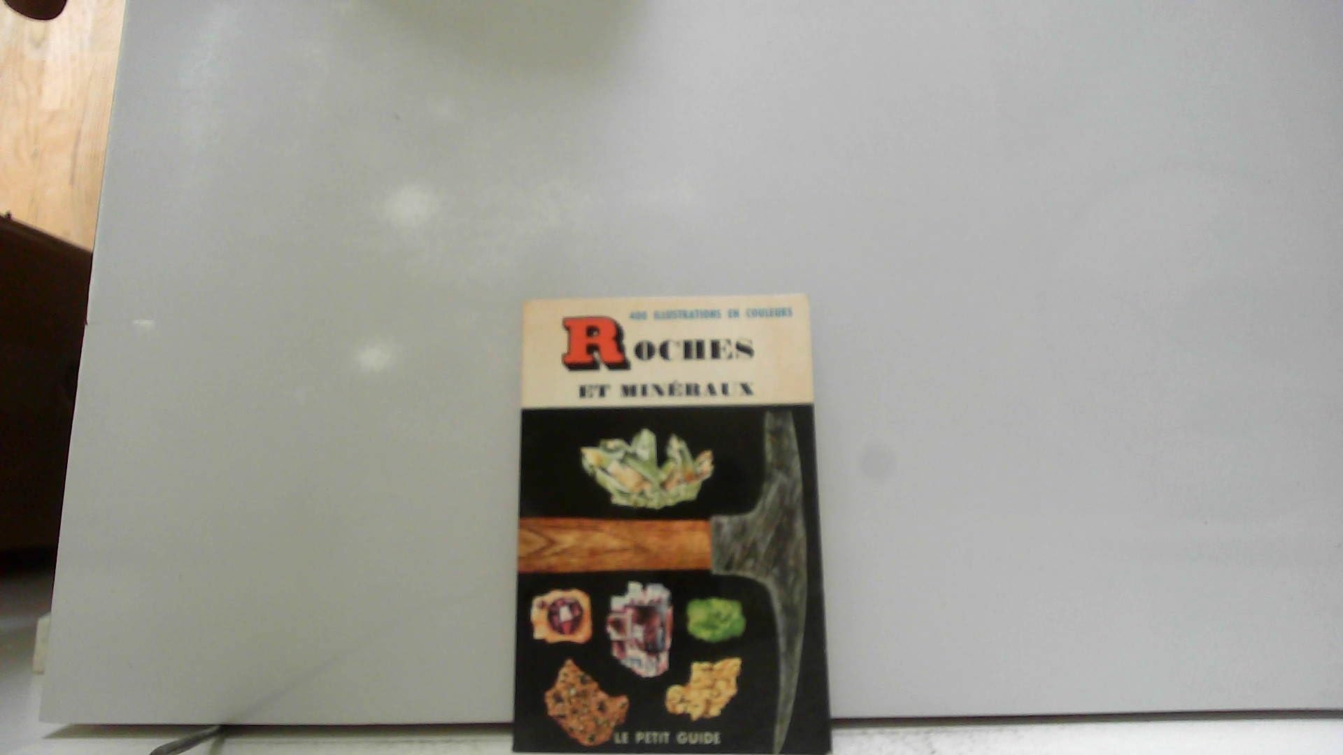 Le petit guide Roches et minéraux 