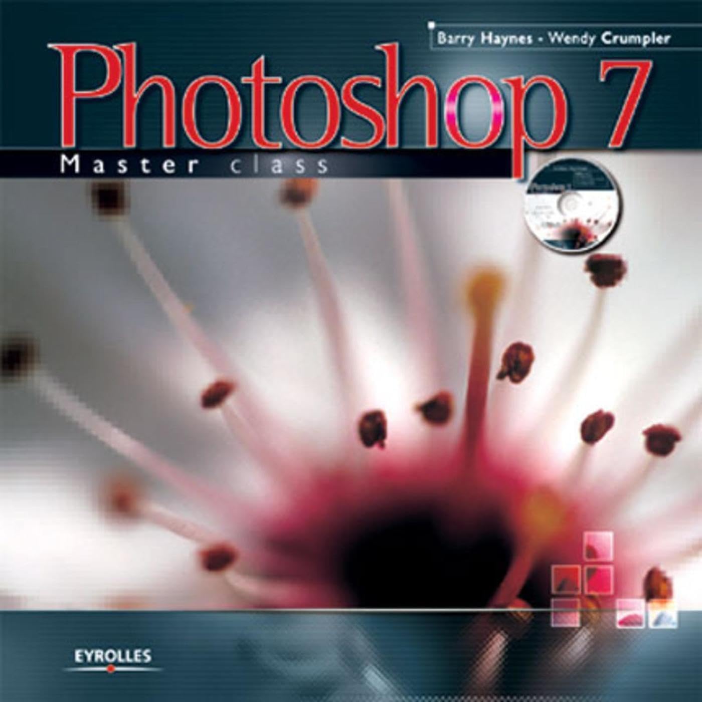Photoshop 7 Master Class 9782212111781