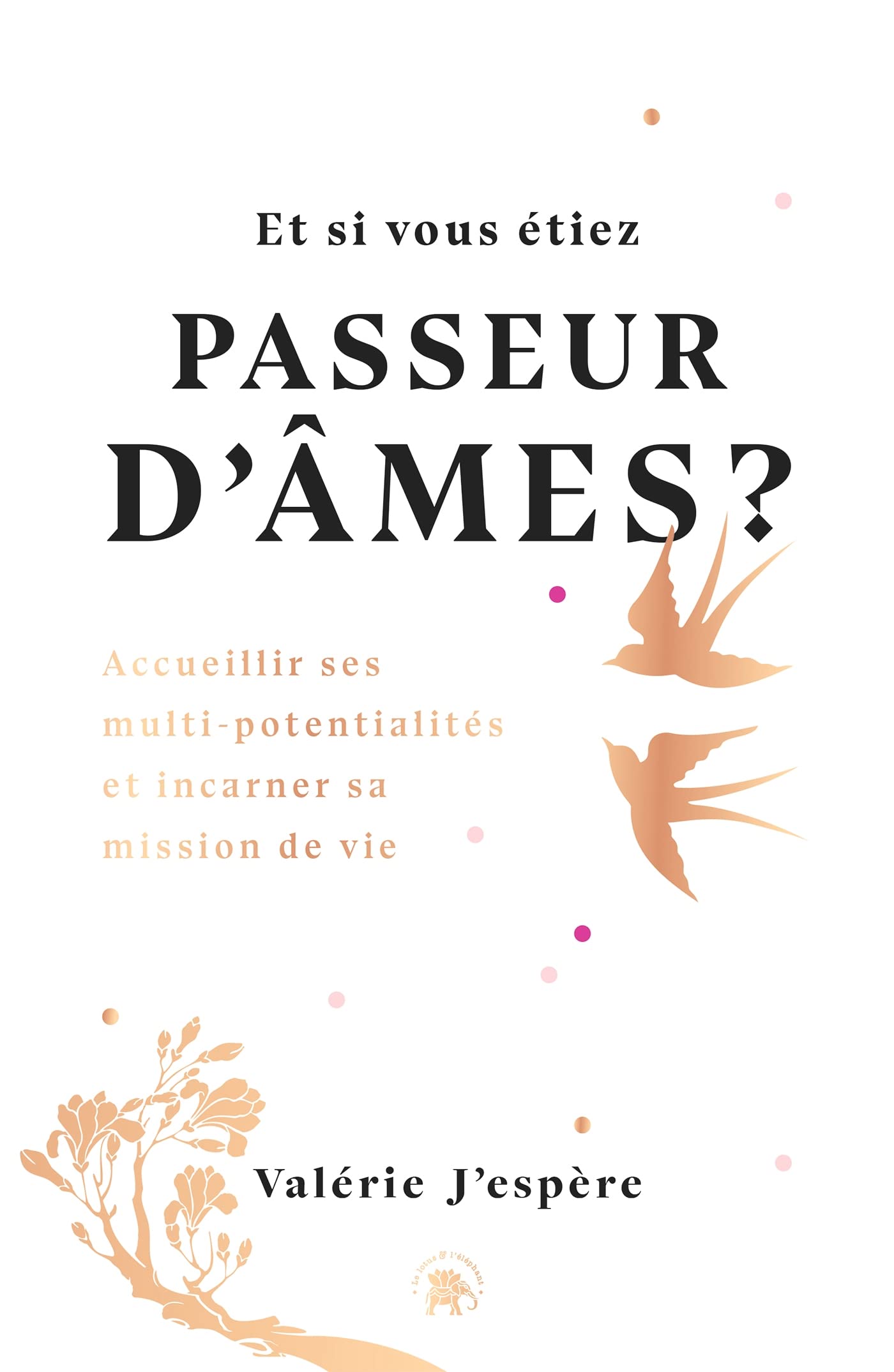 Et si vous étiez passeur d'âmes ?: Accueillir ses multi-potentialités et incarner sa mission de vie 9782017141570