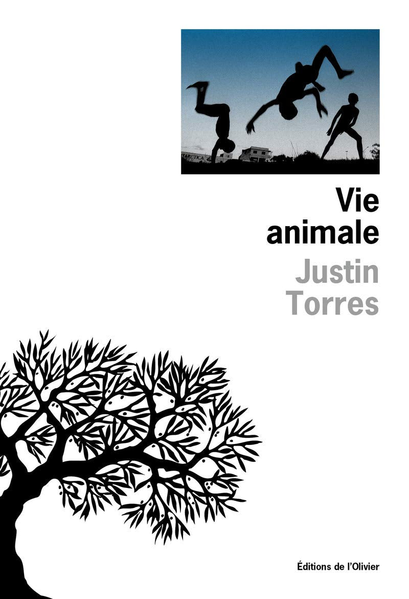 Vie animale 9782879298207