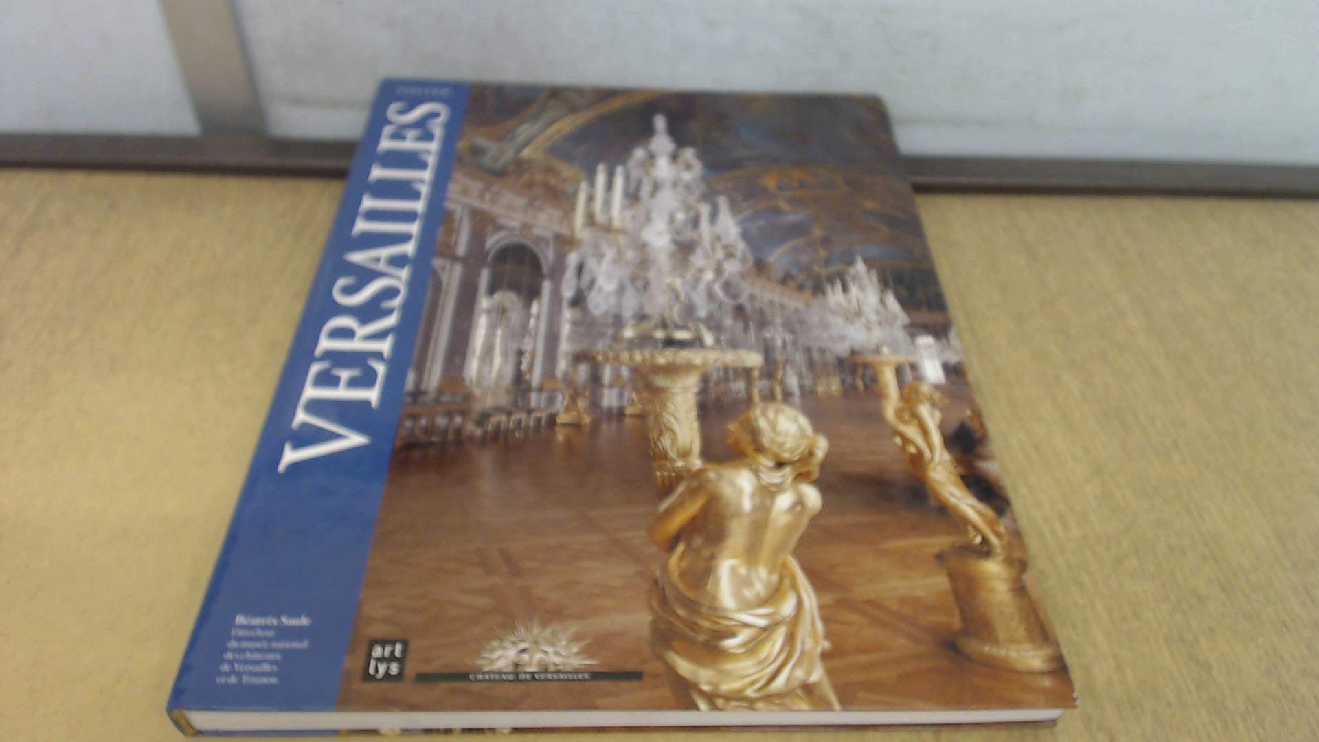 Visiter Versailles 9782854954722
