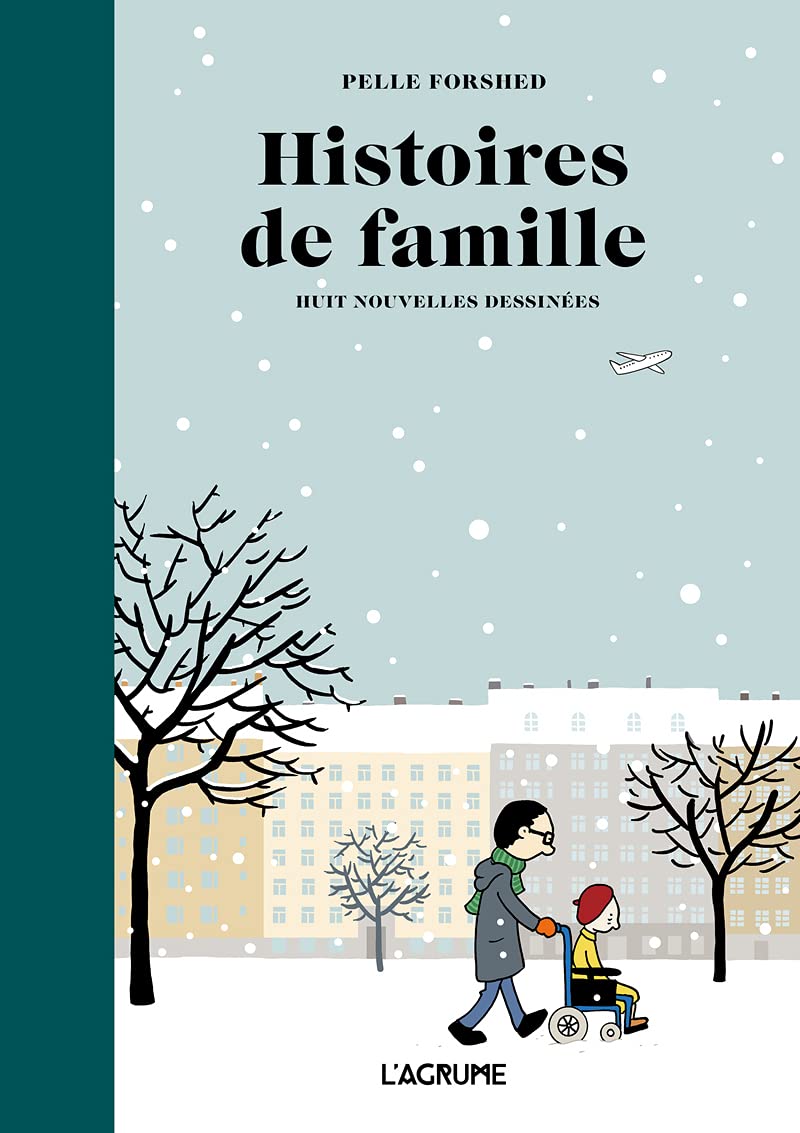Histoires de famille - BD Roman graphique 9791090743250