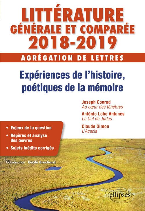 Expérience de l'histoire, poétiques de la mémoire: Agrégation de lettres, Littérature générale et comparée 9782340018198