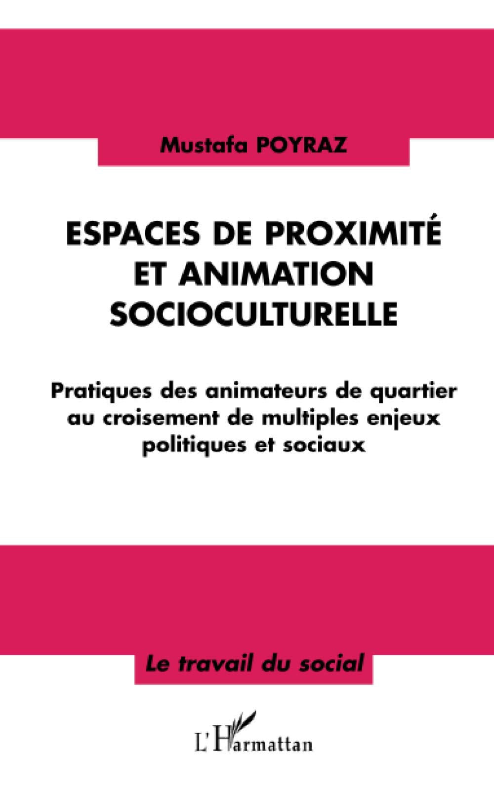 Espaces de proximité et animation socioculturelle: Pratiques des animateurs de quartier au croisement de multiples enjeux politiques et sociaux 9782747546997
