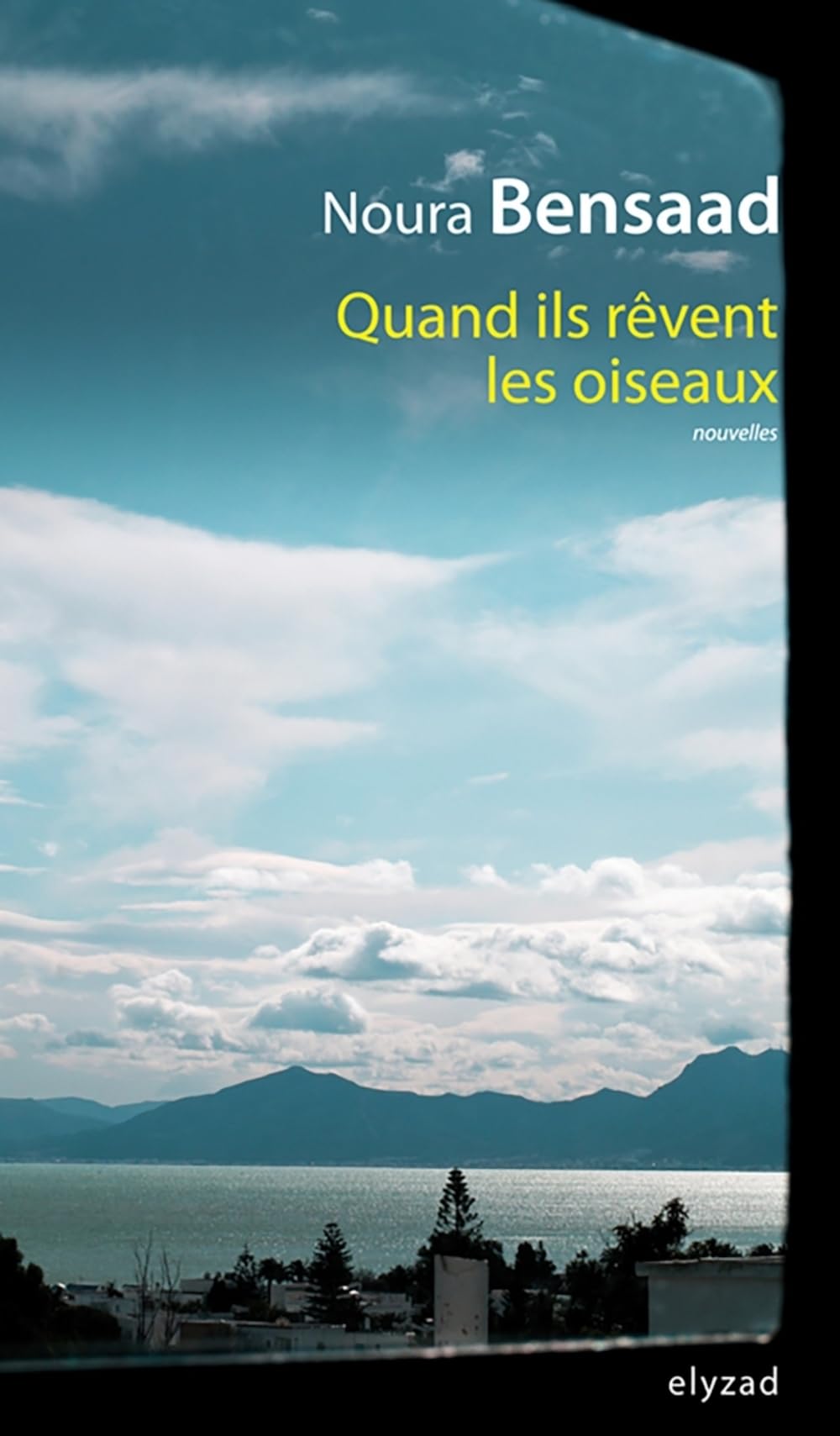 Quand ils revent les oiseaux 9789973580214