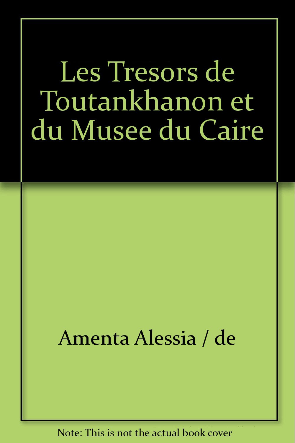 Les Tresors de Toutankhanon et du Musee du Caire 9788861120464