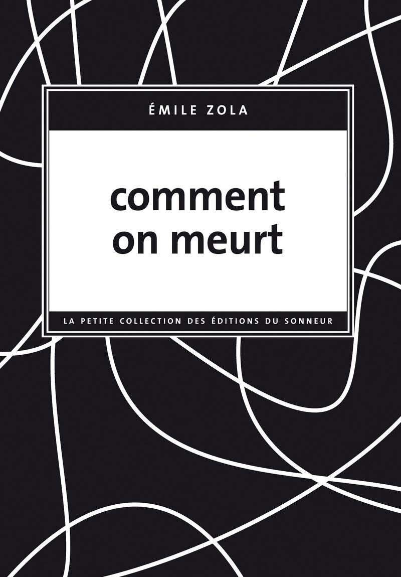 Comment on meurt 9782916136202