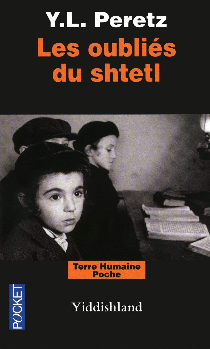 Les oubliés du Shtetl: Yiddishland 9782266197083