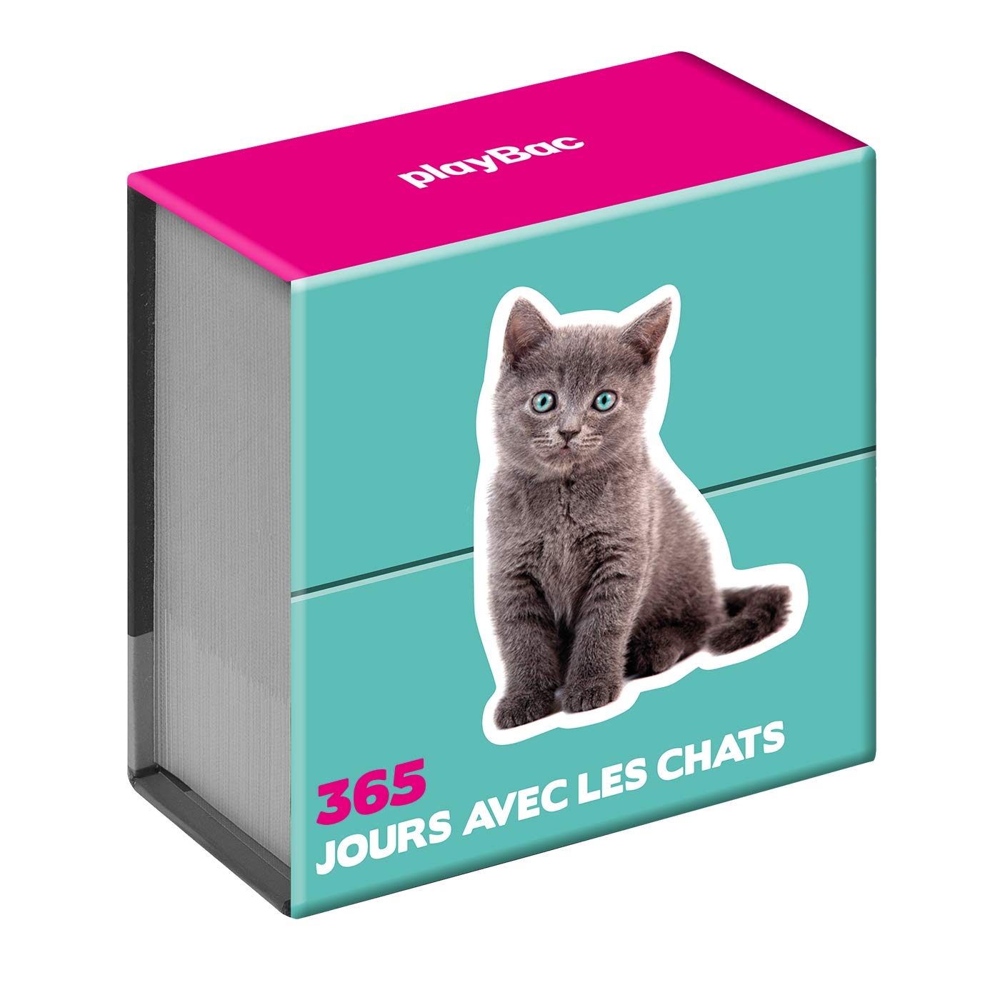 Mini calendrier - 365 jours avec les chats 9782809662849