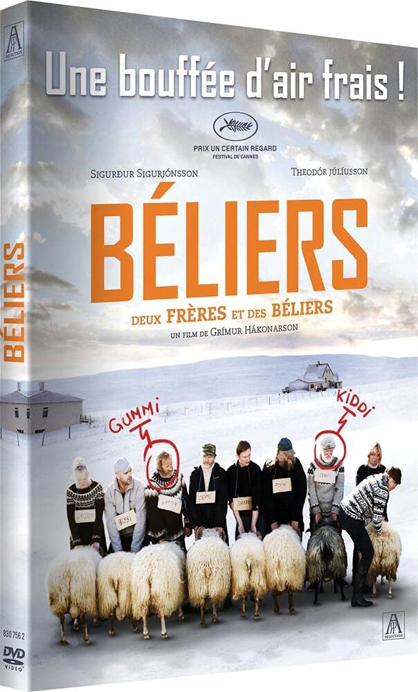 Béliers 5053083080204