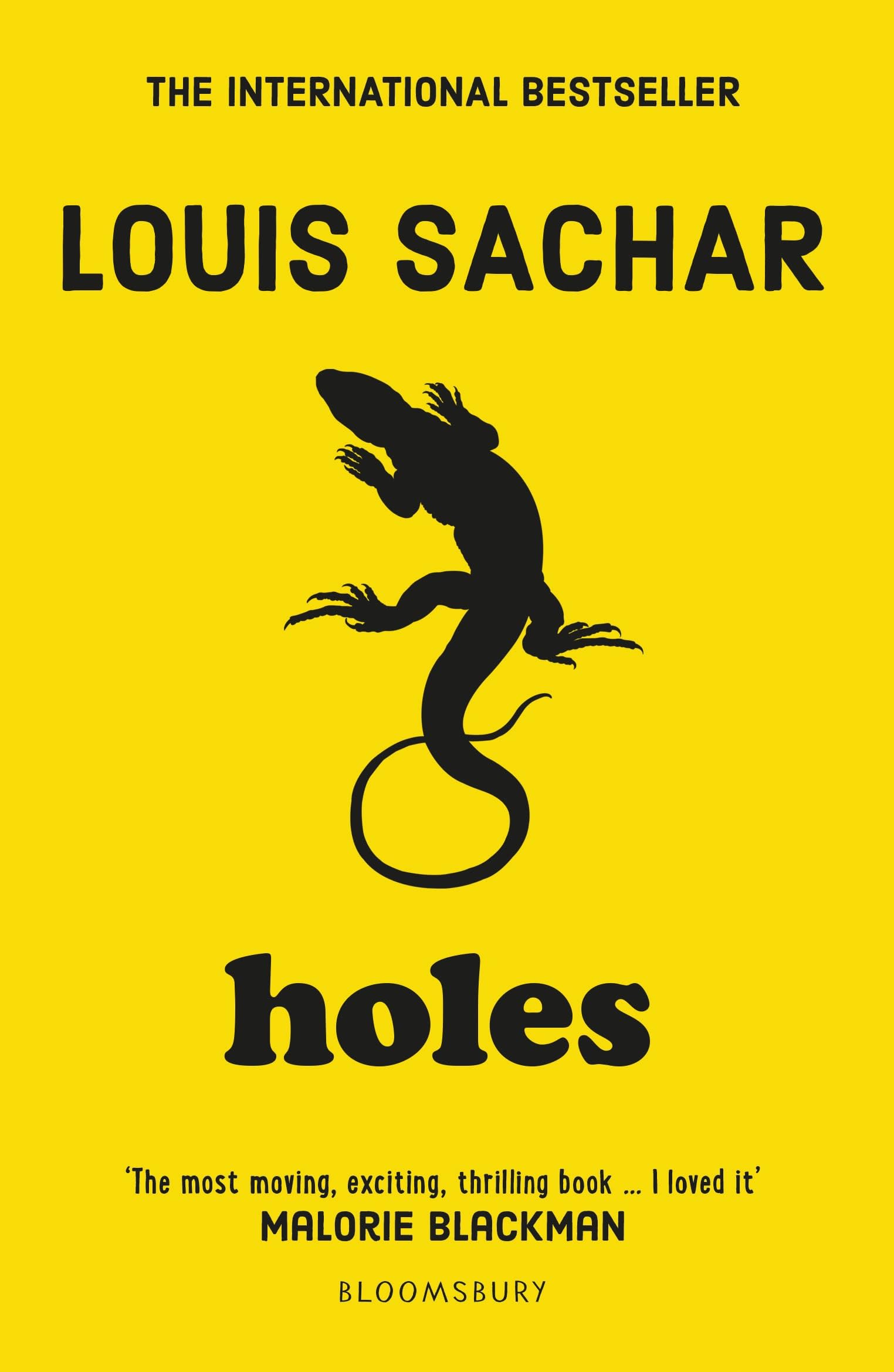 Holes: The iconic childhood-defining phenomenon 9781408865231