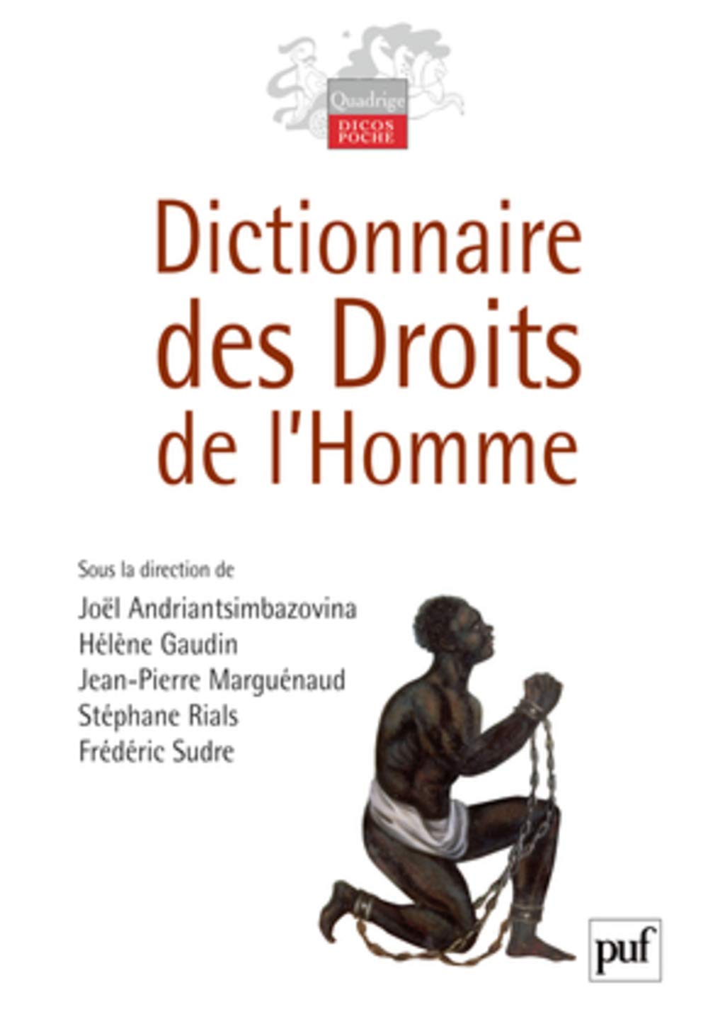 Dictionnaire des droits de l'homme 9782130570240