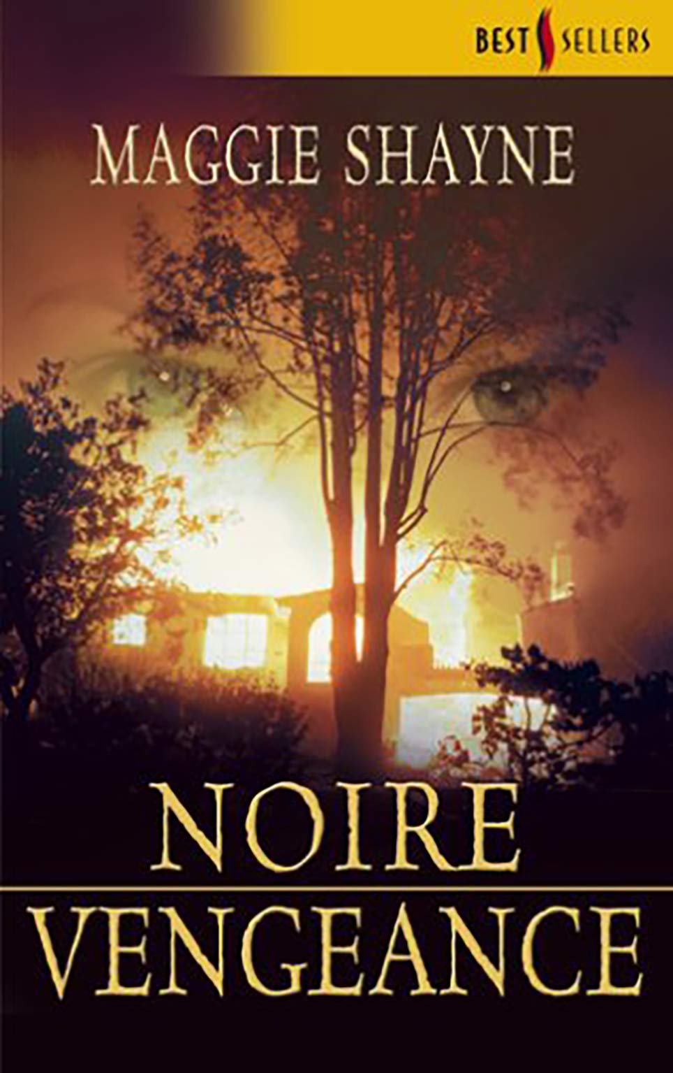 Noire vengeance 9782280087537