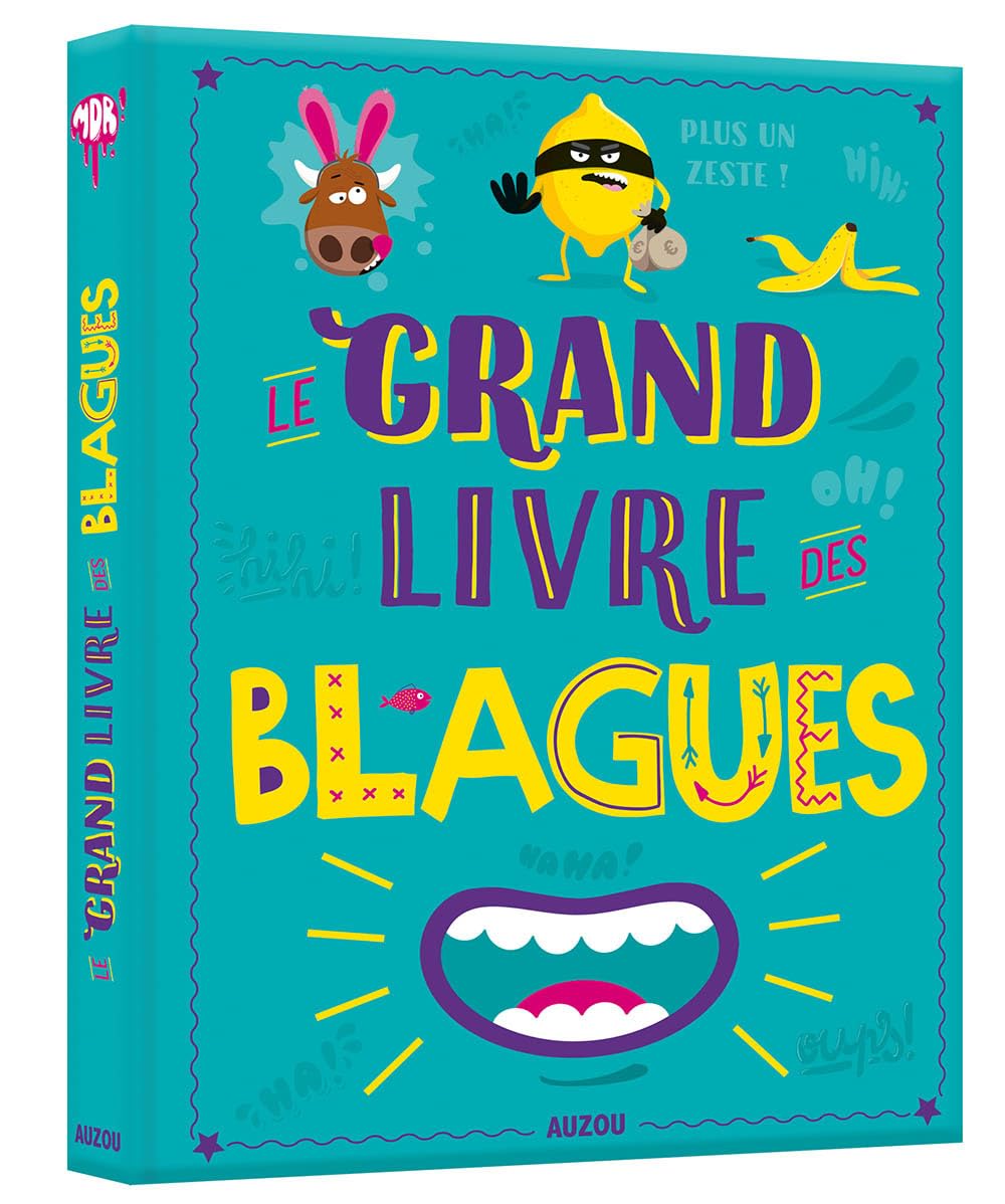LE GRAND LIVRE DES BLAGUES 9782733873809