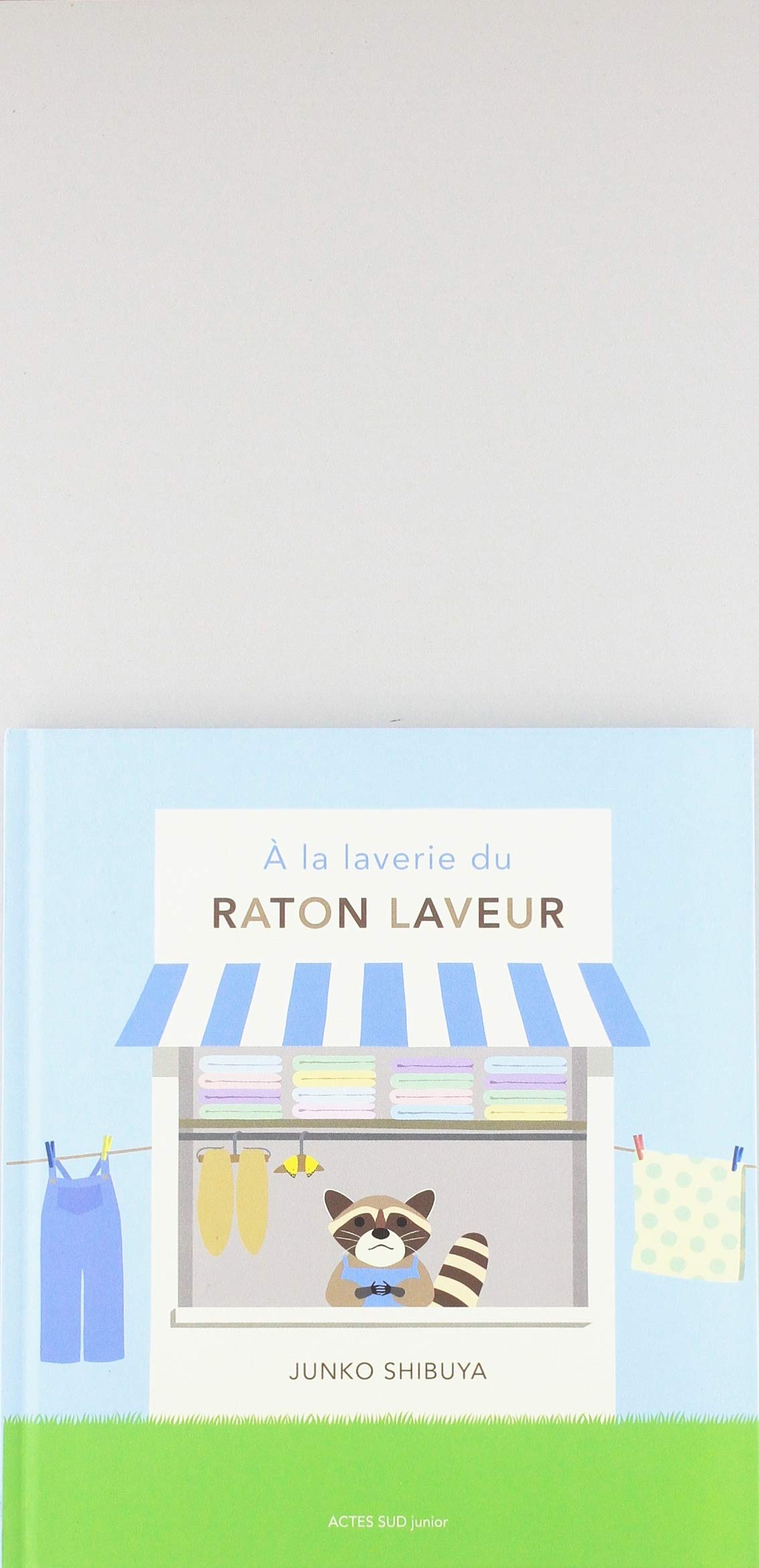 A la laverie du raton laveur 9782330117542