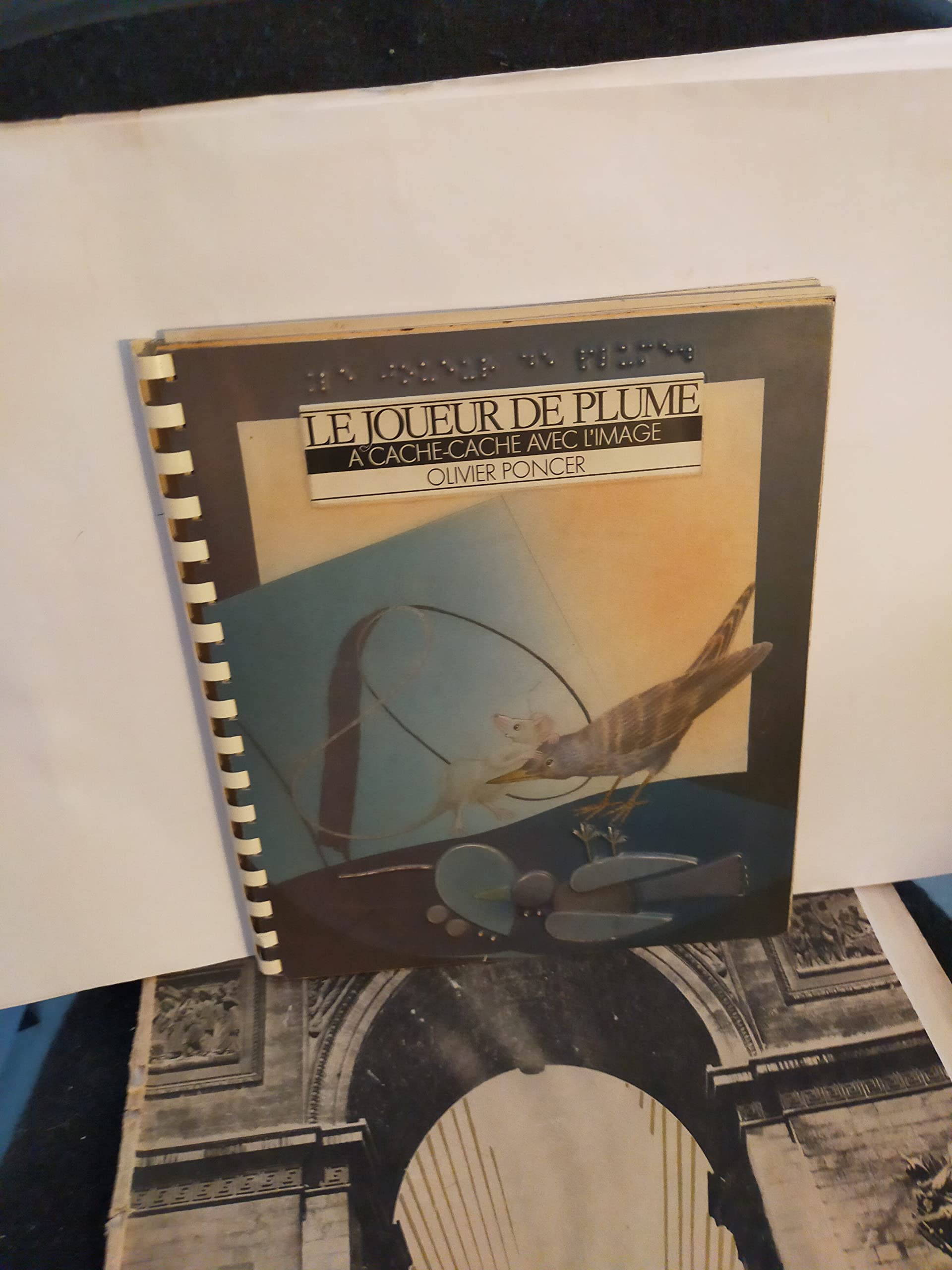 Le joueur de plume : a cache-cache avec l'image 9782868330062