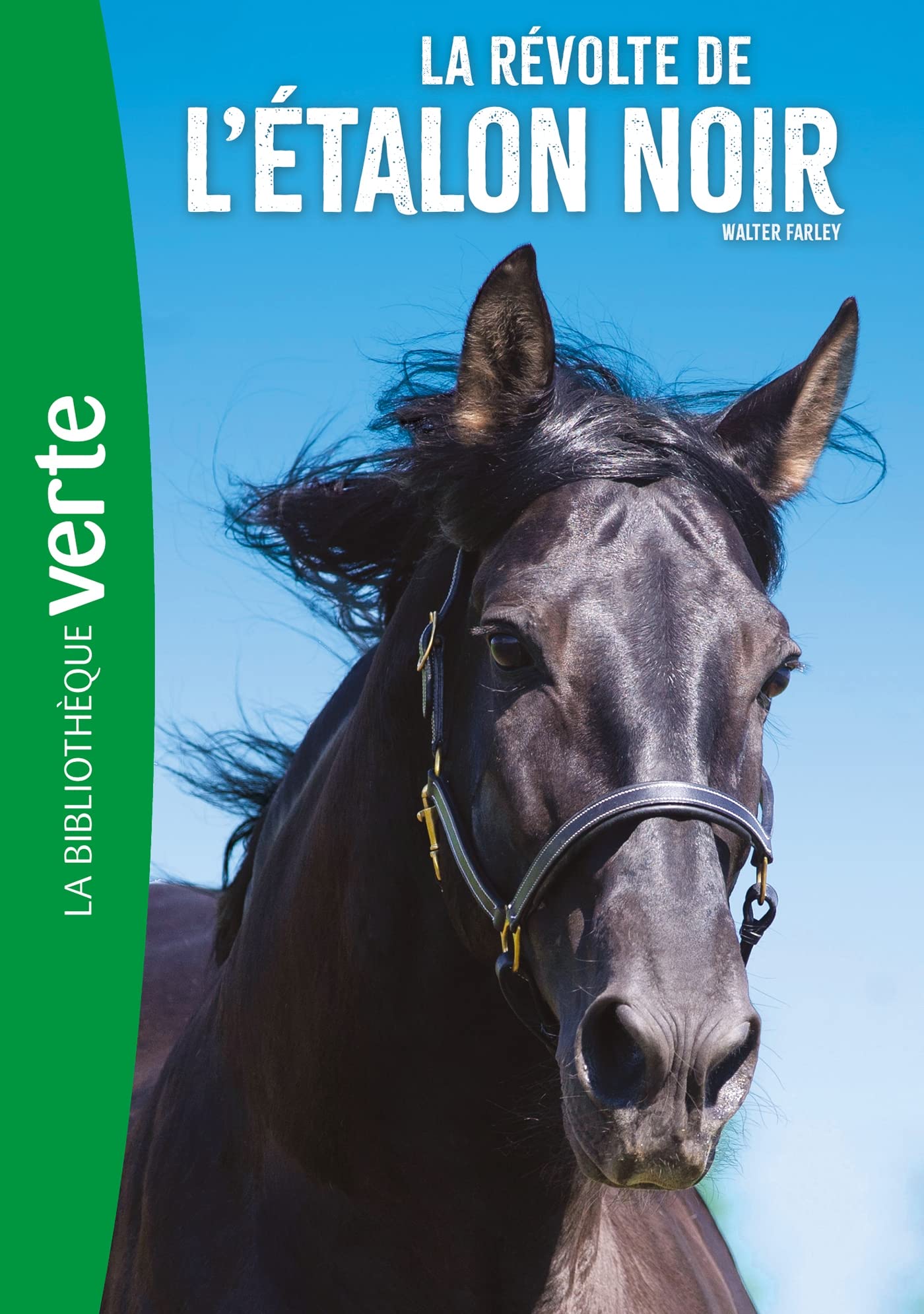 L'Etalon noir 06 NED - La révolte de l'Etalon Noir 9782017169918