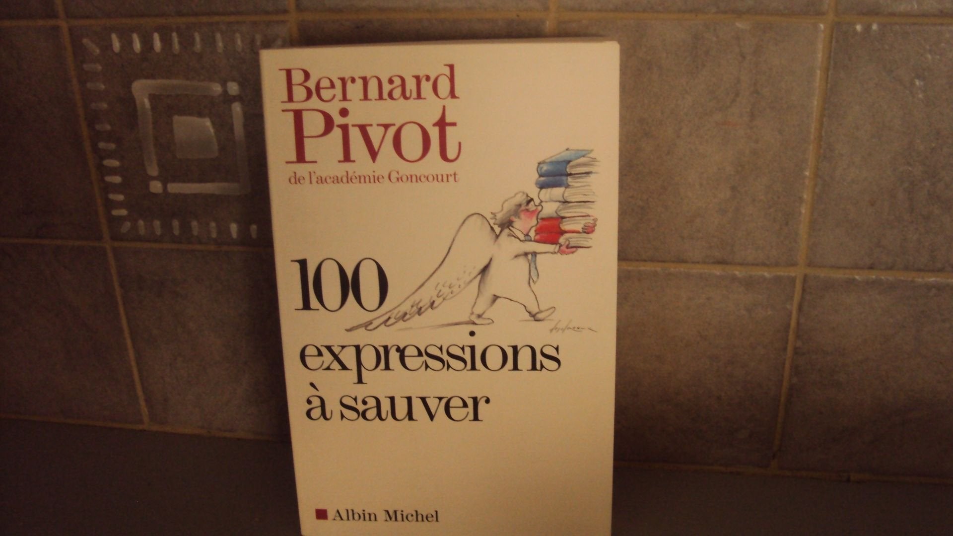 100 Expressions à sauver 9782226143983