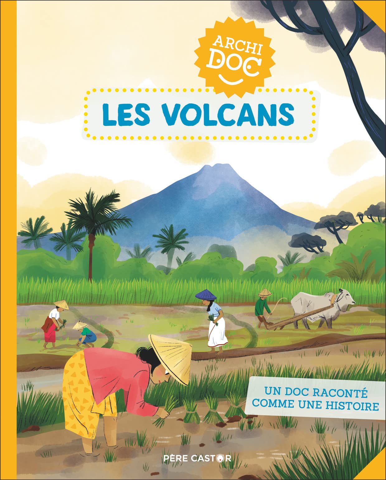 ARCHIDOC - LES VOLCANS 9782080237026