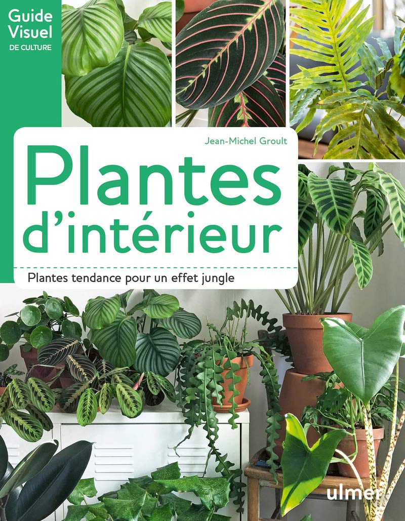 Plantes d'intérieur: Plantes tendance pour un effet jungle 9782841389223