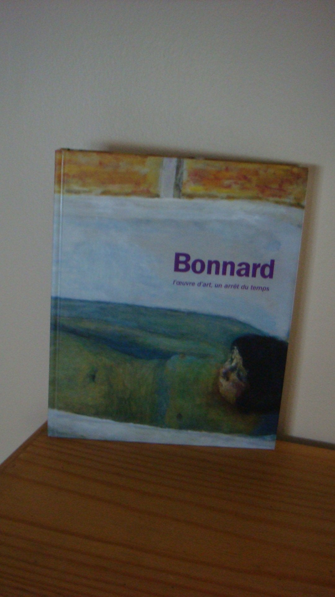 Pierre Bonnard: L'oeuvre d'art, un arrêt du temps 9782879008851