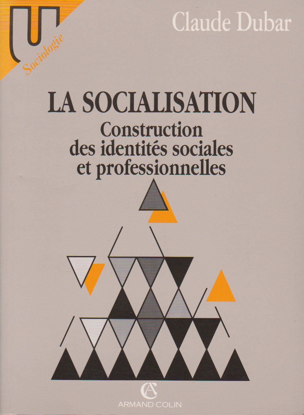 La socialisation : Construction des identités sociales et professionnelles 9782200312879